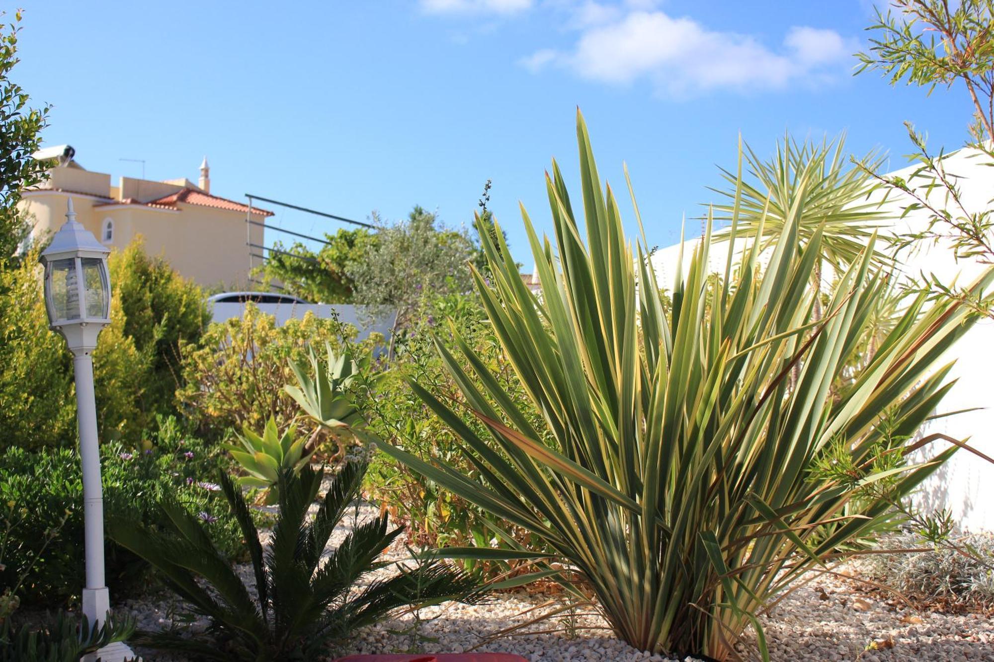 Hotel Sunshine à Albufeira Extérieur photo